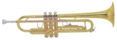 Труба BOSTON TR-203 GOLD Bb комплект