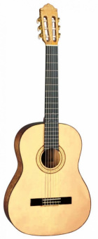 Гитара классическая Naranda CG220