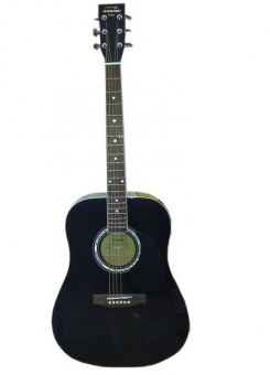 Гитара акустическая ADAMS W-4101 BKS