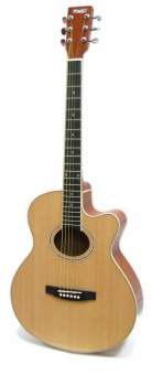 Фолк гитара HOMAGE LF-401C-N